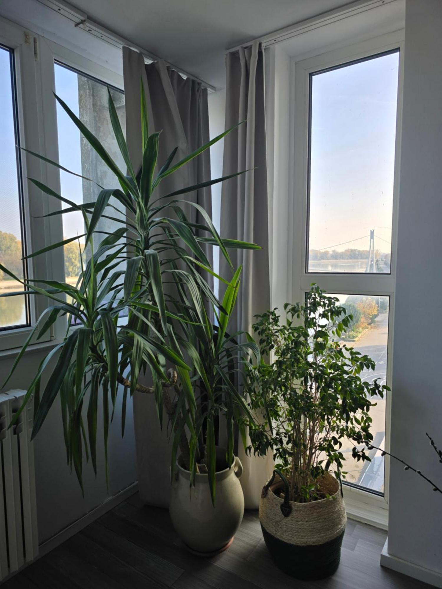 אוסילק Riverview Apartment מראה חיצוני תמונה